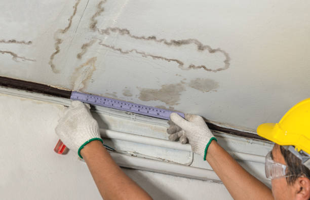 Reliable Flood Cleanup contractor in Wyandotte, MI by Water Damage Irwin
